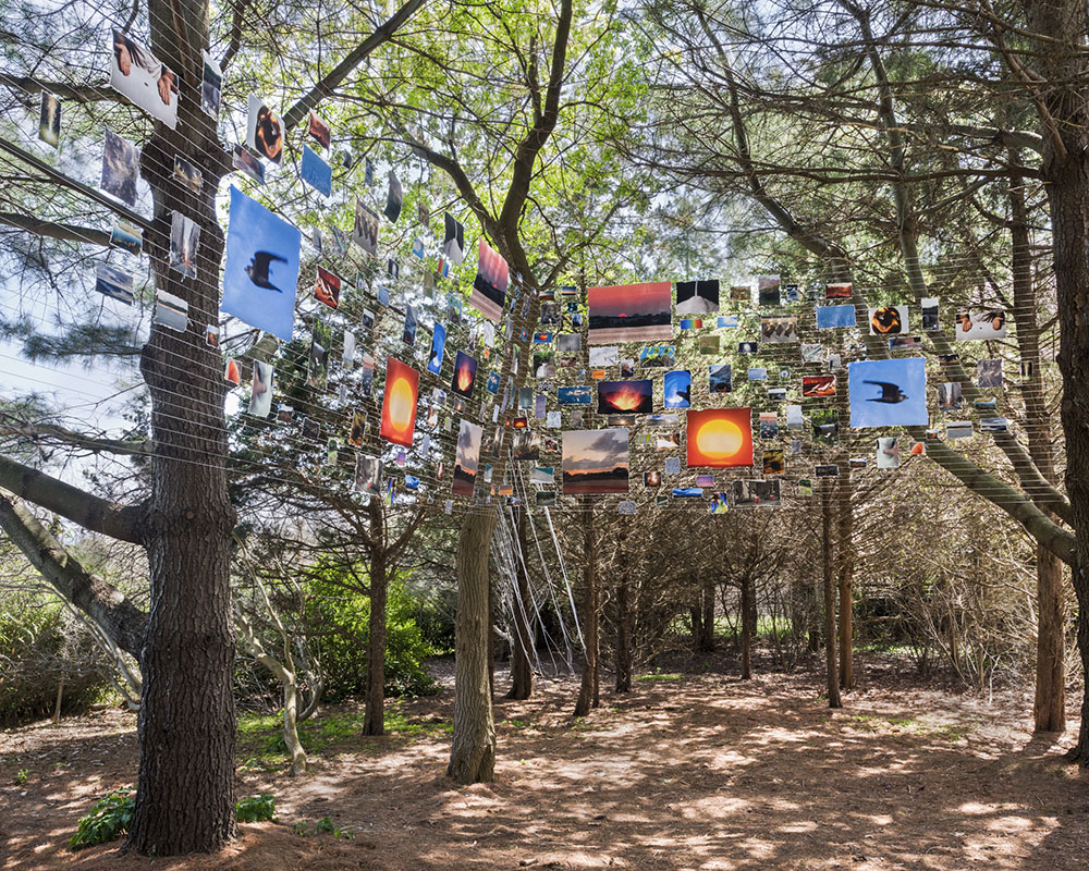 Sarah Sze at Landcraft